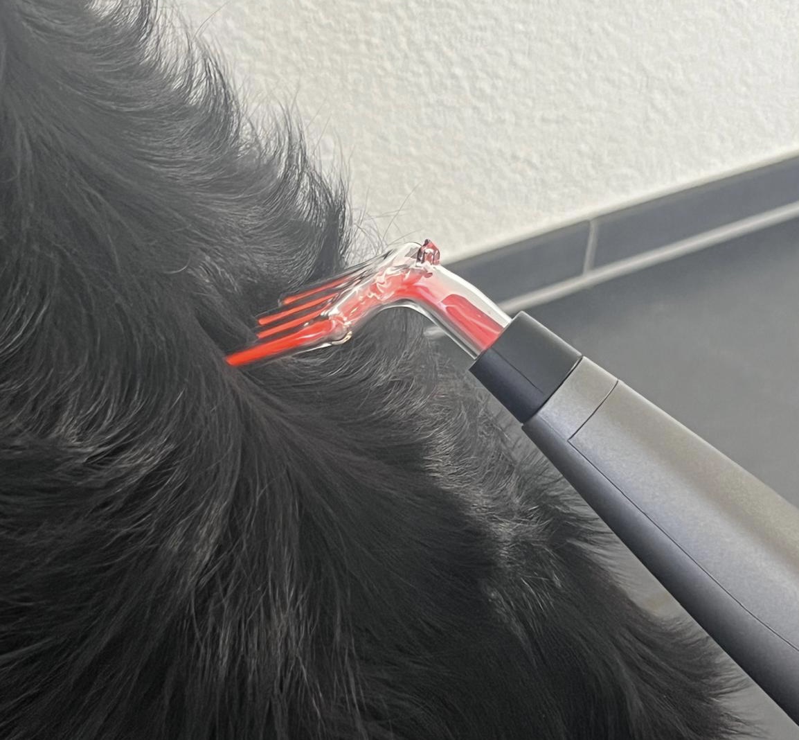 Kaltplasmatherapie bei Muskelblockaden Hund - PetCellpen Kamm